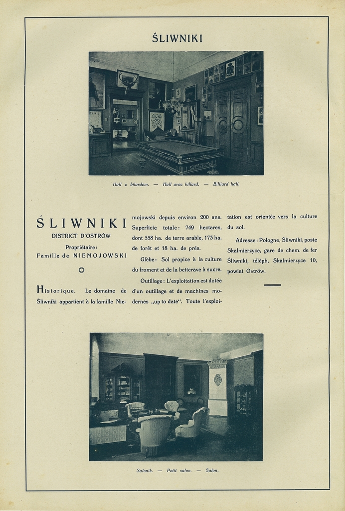 193 sliwniki.jpg